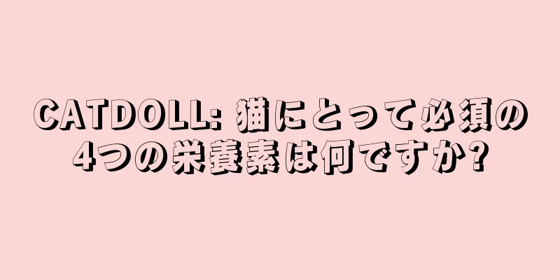 CATDOLL: 猫にとって必須の4つの栄養素は何ですか?