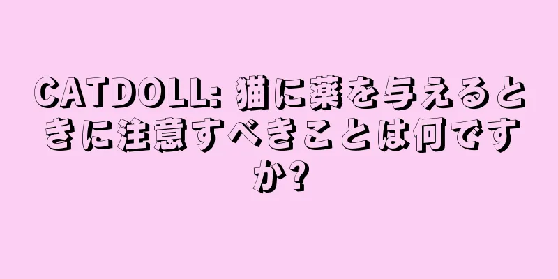 CATDOLL: 猫に薬を与えるときに注意すべきことは何ですか?