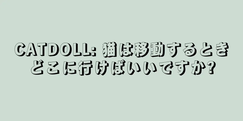 CATDOLL: 猫は移動するときどこに行けばいいですか?