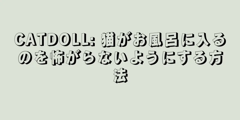 CATDOLL: 猫がお風呂に入るのを怖がらないようにする方法