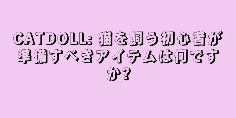 CATDOLL: 猫を飼う初心者が準備すべきアイテムは何ですか?