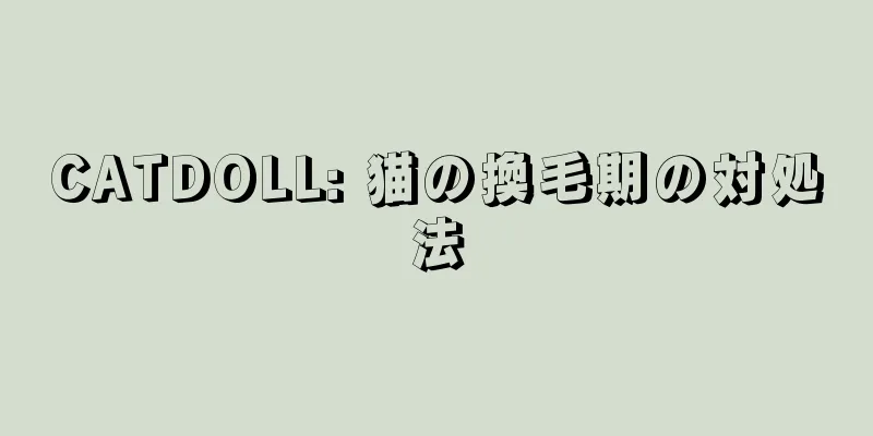 CATDOLL: 猫の換毛期の対処法