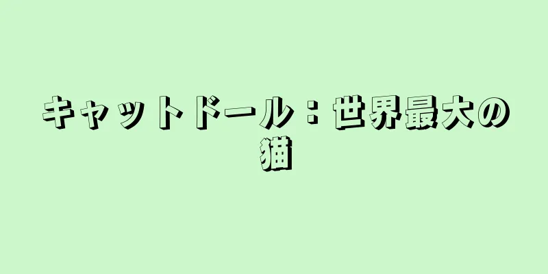 キャットドール：世界最大の猫