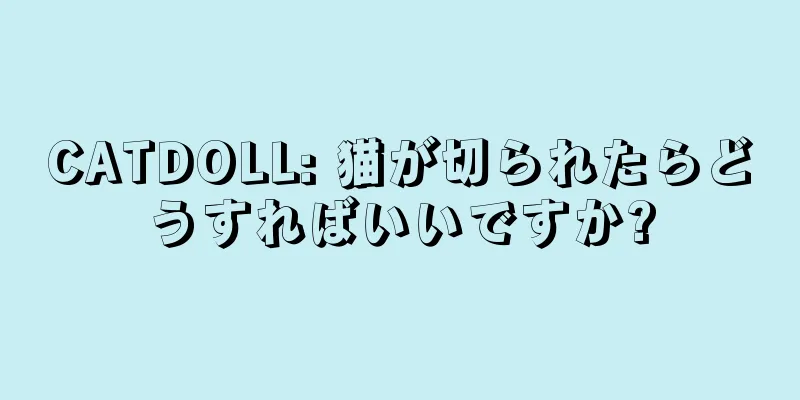 CATDOLL: 猫が切られたらどうすればいいですか?