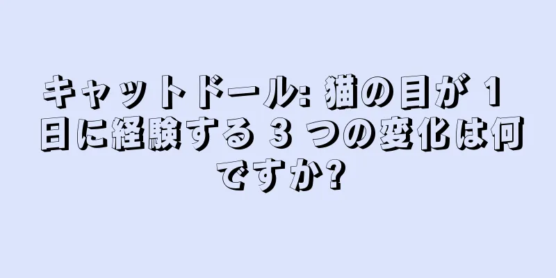 キャットドール: 猫の目が 1 日に経験する 3 つの変化は何ですか?