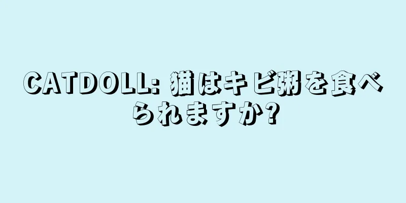 CATDOLL: 猫はキビ粥を食べられますか?