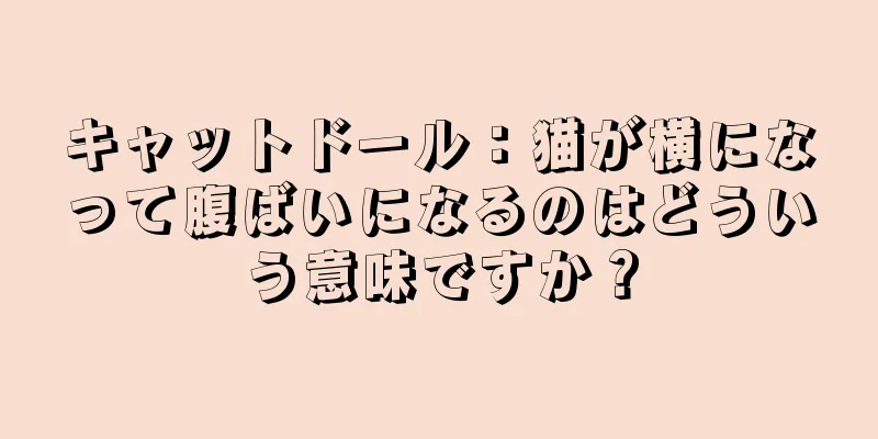 キャットドール：猫が横になって腹ばいになるのはどういう意味ですか？