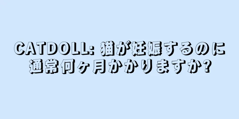 CATDOLL: 猫が妊娠するのに通常何ヶ月かかりますか?