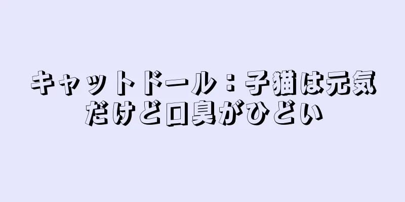 キャットドール：子猫は元気だけど口臭がひどい