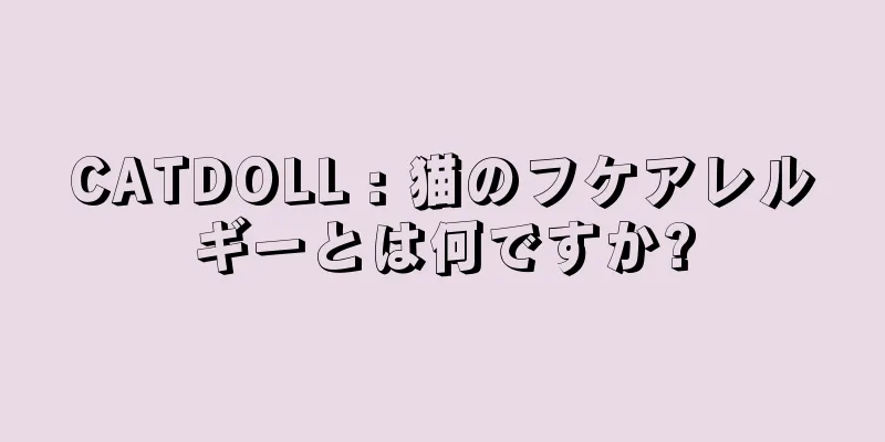 CATDOLL : 猫のフケアレルギーとは何ですか?