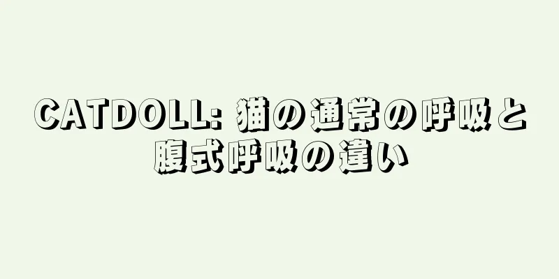 CATDOLL: 猫の通常の呼吸と腹式呼吸の違い