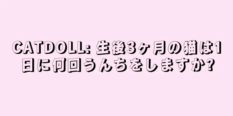 CATDOLL: 生後3ヶ月の猫は1日に何回うんちをしますか?