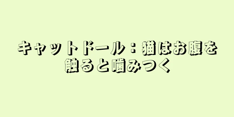 キャットドール：猫はお腹を触ると噛みつく
