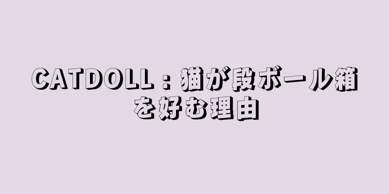 CATDOLL : 猫が段ボール箱を好む理由