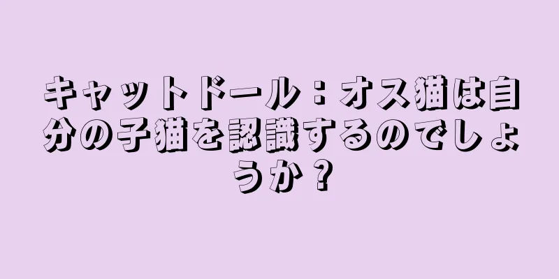 キャットドール：オス猫は自分の子猫を認識するのでしょうか？