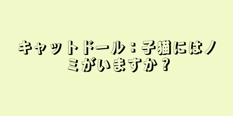 キャットドール：子猫にはノミがいますか？