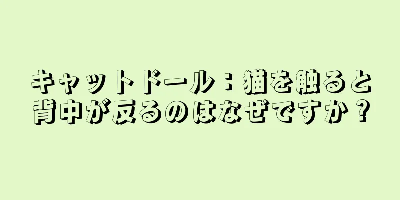 キャットドール：猫を触ると背中が反るのはなぜですか？