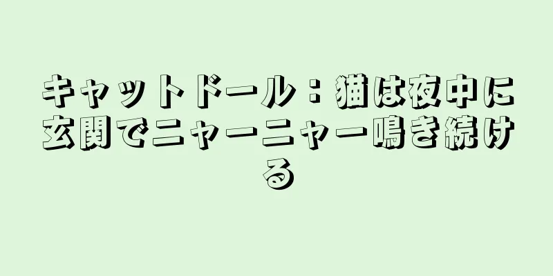 キャットドール：猫は夜中に玄関でニャーニャー鳴き続ける