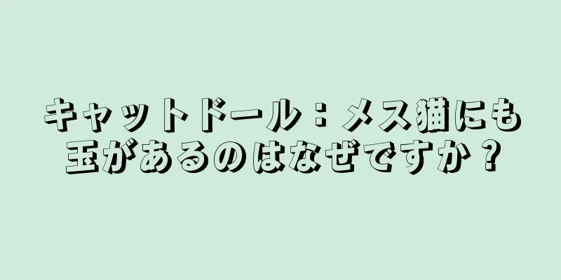 キャットドール：メス猫にも玉があるのはなぜですか？
