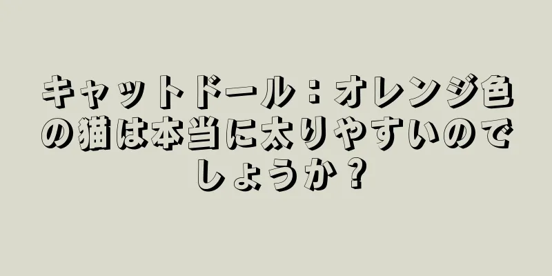 キャットドール：オレンジ色の猫は本当に太りやすいのでしょうか？