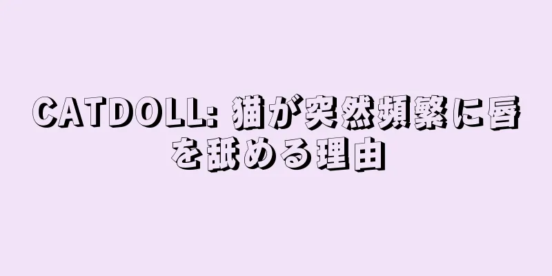 CATDOLL: 猫が突然頻繁に唇を舐める理由