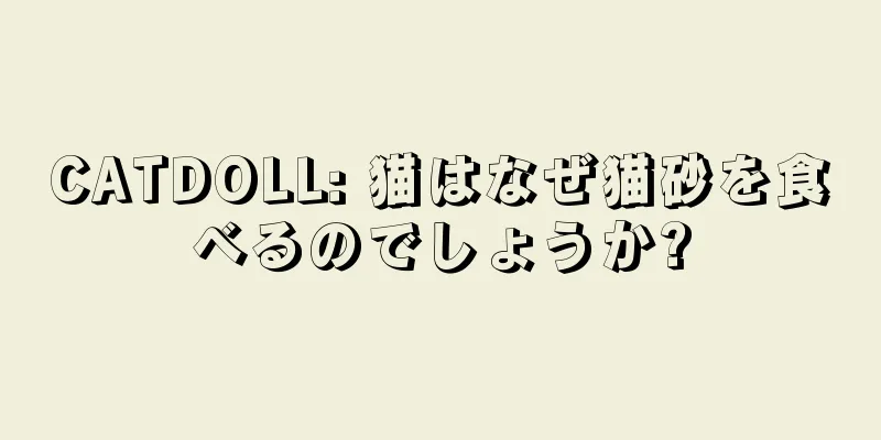 CATDOLL: 猫はなぜ猫砂を食べるのでしょうか?