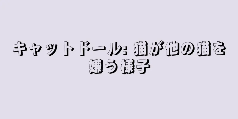 キャットドール: 猫が他の猫を嫌う様子