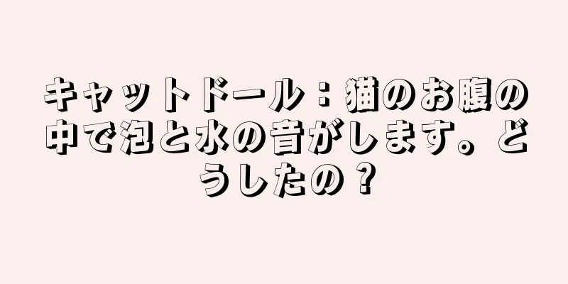キャットドール：猫のお腹の中で泡と水の音がします。どうしたの？