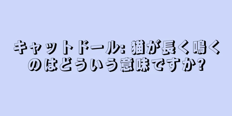キャットドール: 猫が長く鳴くのはどういう意味ですか?