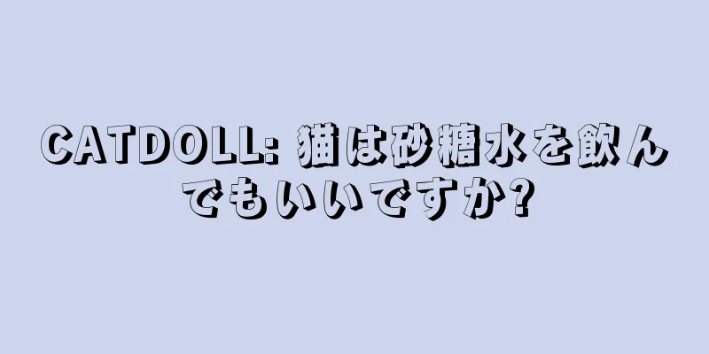 CATDOLL: 猫は砂糖水を飲んでもいいですか?