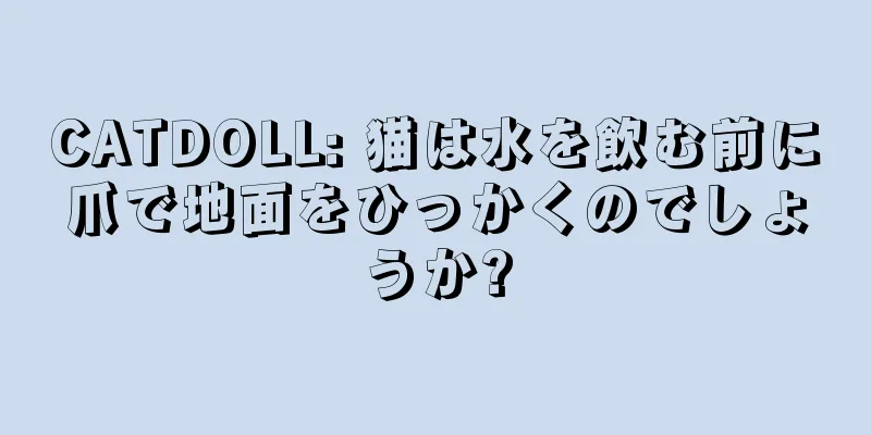 CATDOLL: 猫は水を飲む前に爪で地面をひっかくのでしょうか?