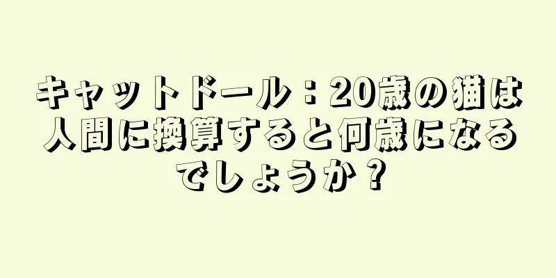 キャットドール：20歳の猫は人間に換算すると何歳になるでしょうか？