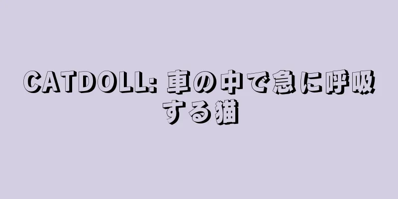 CATDOLL: 車の中で急に呼吸する猫
