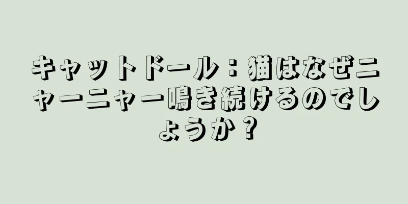 キャットドール：猫はなぜニャーニャー鳴き続けるのでしょうか？