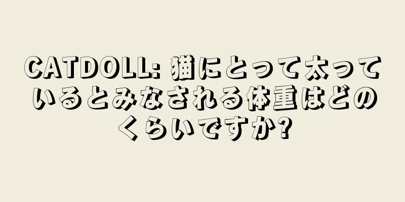 CATDOLL: 猫にとって太っているとみなされる体重はどのくらいですか?