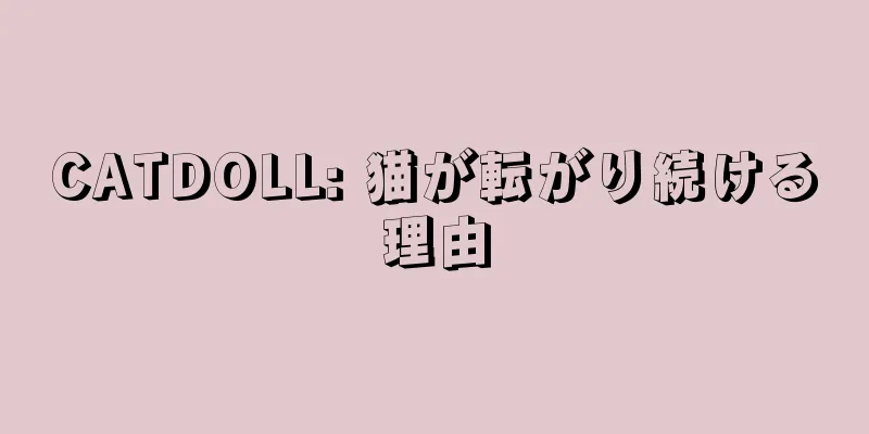 CATDOLL: 猫が転がり続ける理由