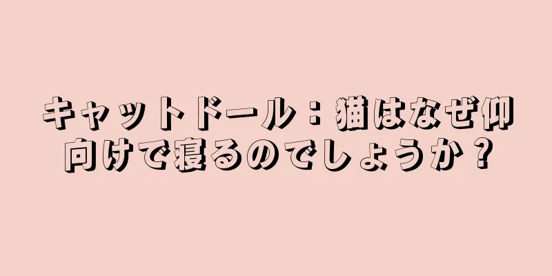 キャットドール：猫はなぜ仰向けで寝るのでしょうか？