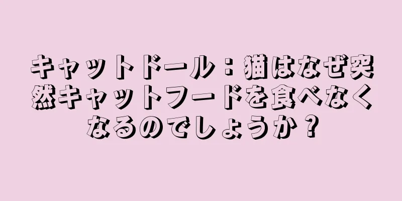 キャットドール：猫はなぜ突然キャットフードを食べなくなるのでしょうか？