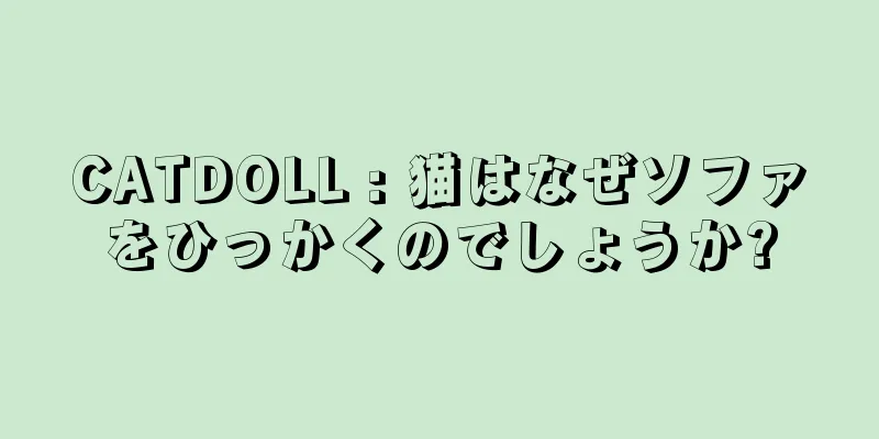 CATDOLL : 猫はなぜソファをひっかくのでしょうか?