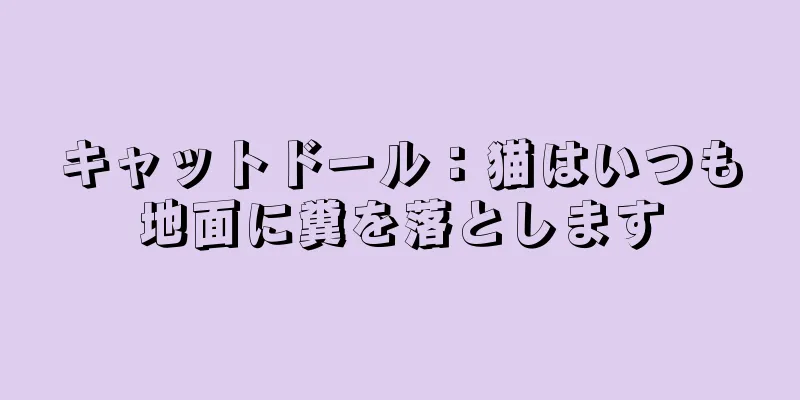 キャットドール：猫はいつも地面に糞を落とします