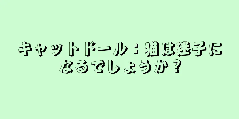 キャットドール：猫は迷子になるでしょうか？