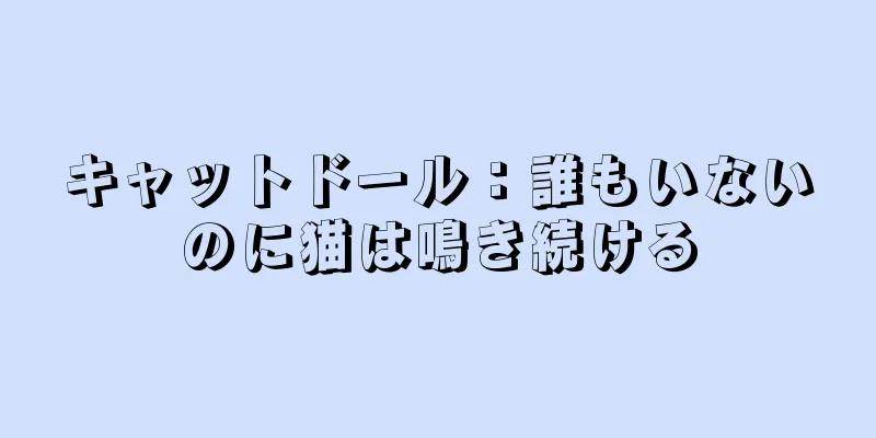 キャットドール：誰もいないのに猫は鳴き続ける