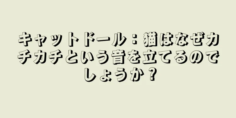 キャットドール：猫はなぜカチカチという音を立てるのでしょうか？
