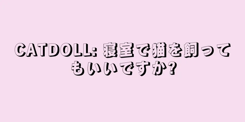 CATDOLL: 寝室で猫を飼ってもいいですか?
