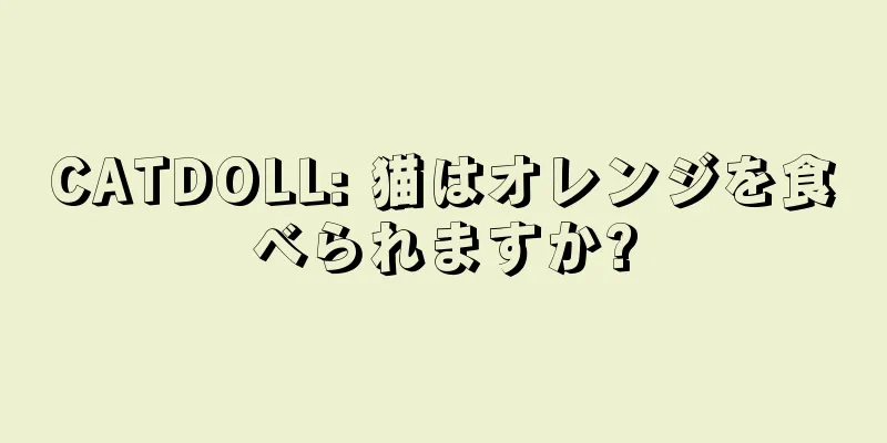 CATDOLL: 猫はオレンジを食べられますか?