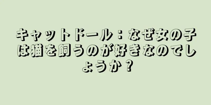 キャットドール：なぜ女の子は猫を飼うのが好きなのでしょうか？