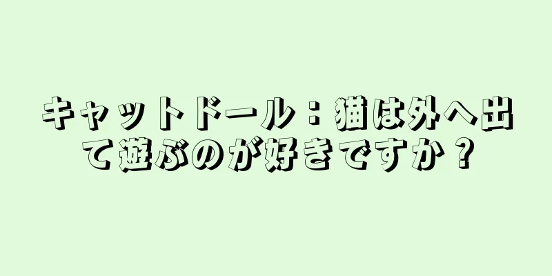 キャットドール：猫は外へ出て遊ぶのが好きですか？