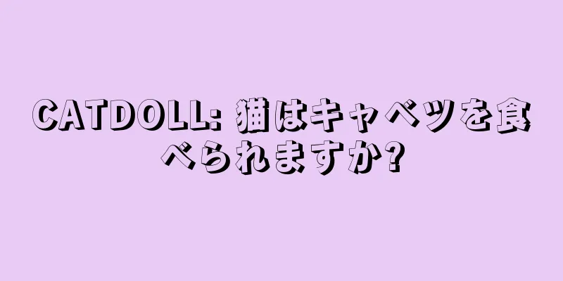 CATDOLL: 猫はキャベツを食べられますか?