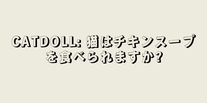 CATDOLL: 猫はチキンスープを食べられますか?