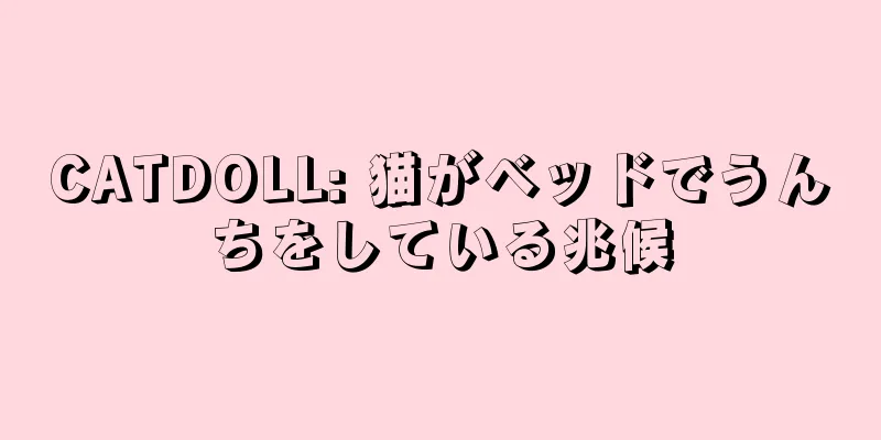 CATDOLL: 猫がベッドでうんちをしている兆候